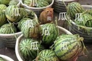 娱乐吃瓜的头像图片大全,海量娱乐头像大盘点